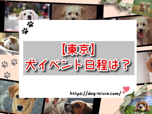 東京都　犬イベント