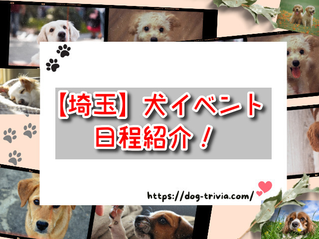 埼玉の犬イベント2024の日程は？8月・9月・10月の開催場所はどこ？