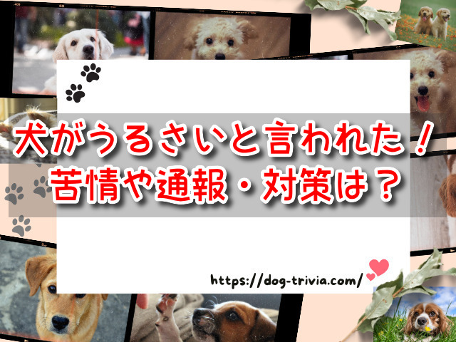 犬がうるさいと言われた　苦情