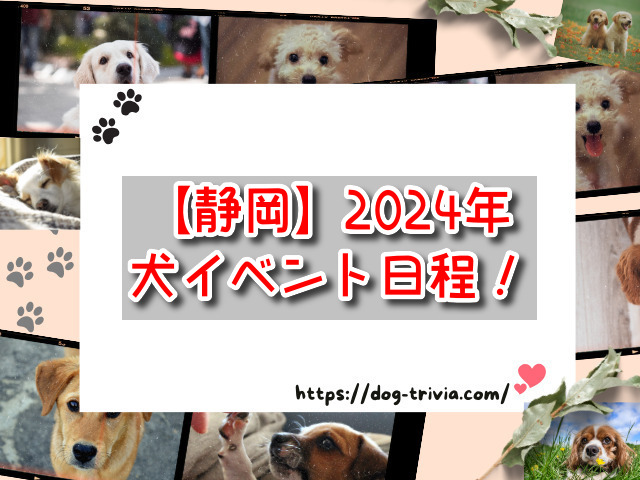 【静岡】犬イベント2024年の日程は？8月・9月・10月予定のおすすめ開催場所はここ！