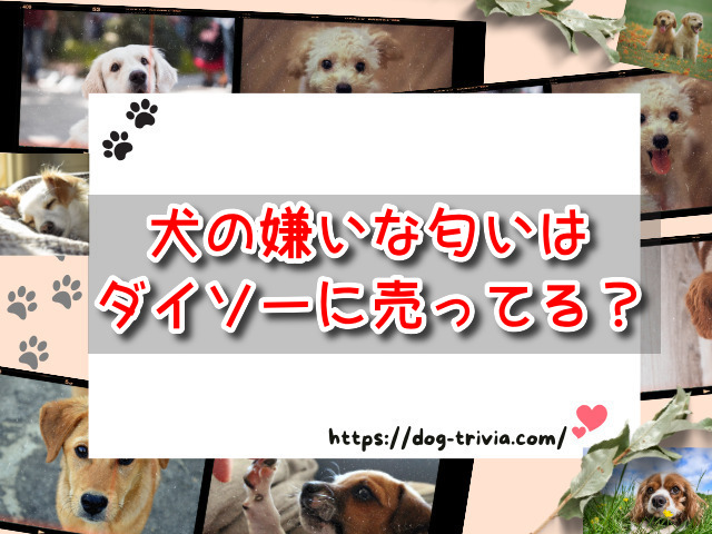 犬の嫌いな匂い　ダイソー