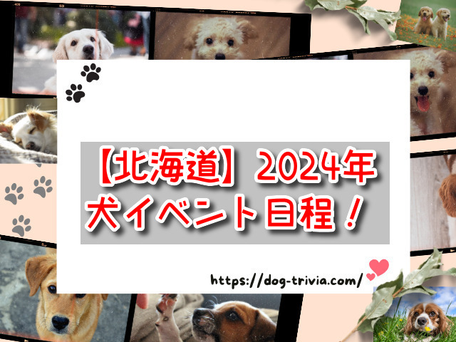 北海道　犬イベント