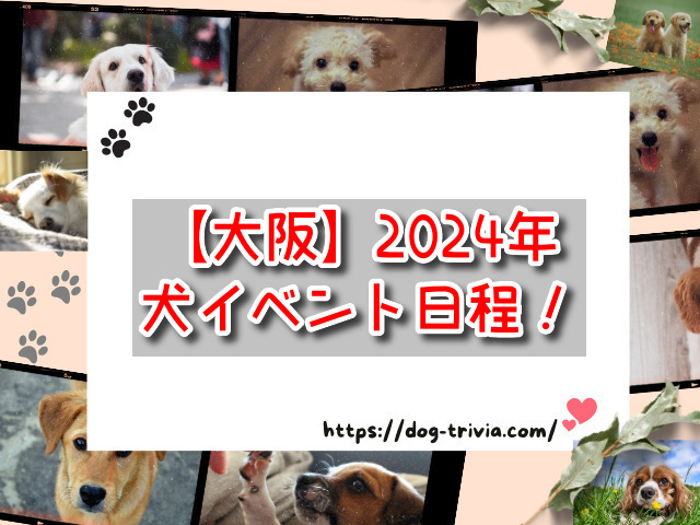 大阪　犬イベント