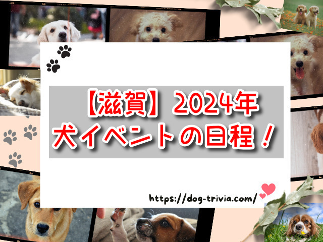 滋賀県　犬イベント