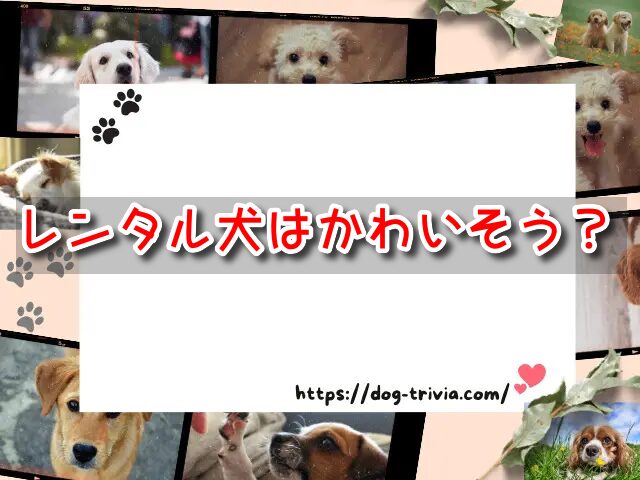 レンタル犬　ひどい