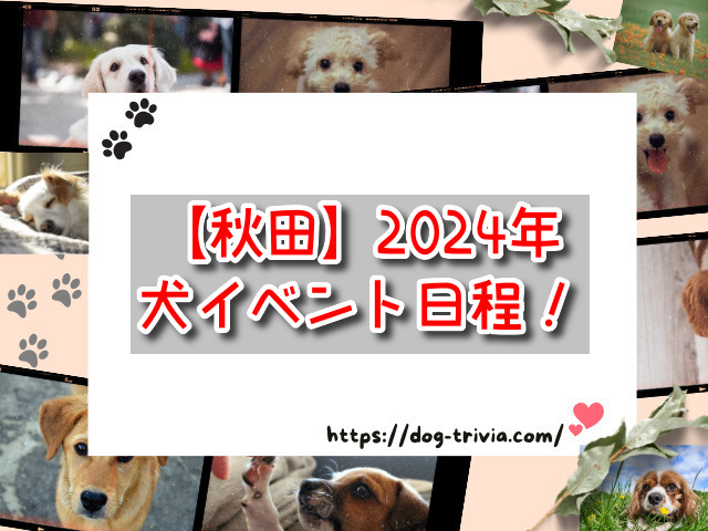 秋田　犬イベント