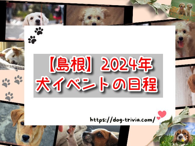 島根 犬イベント