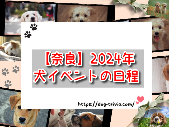 奈良県 犬イベント