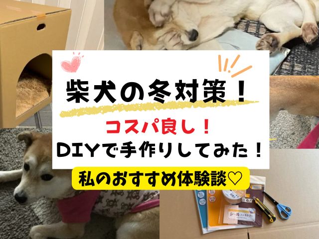 柴犬　冬対策　おすすめ　体験談　感想　ブログ　レビュー　DIY