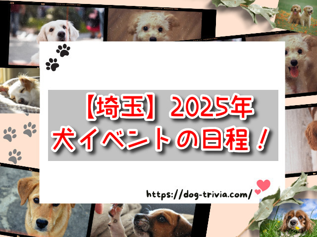 埼玉の犬イベント2025の日程は？1月・2月・3月の開催場所はどこ？