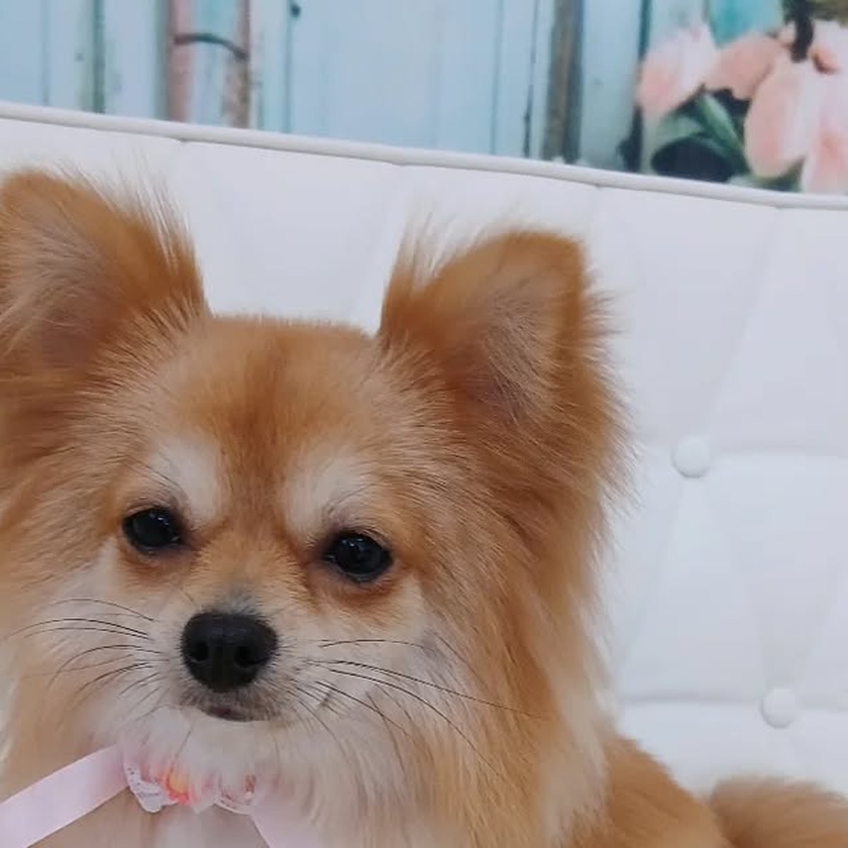 シャンプー・部分カット